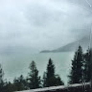 Meet your Posher, Misha